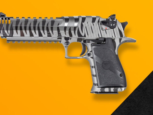 Custom Desert Eagle Builder
