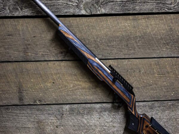 Custom SwitchBolt .22LR