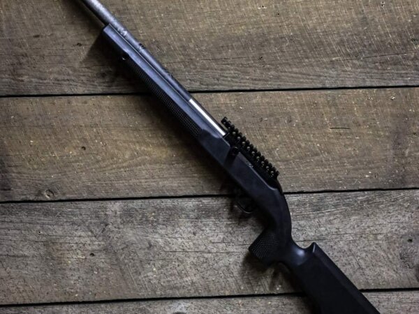 Custom SwitchBolt .22LR