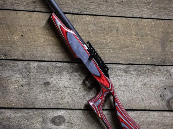 Custom SwitchBolt .22LR