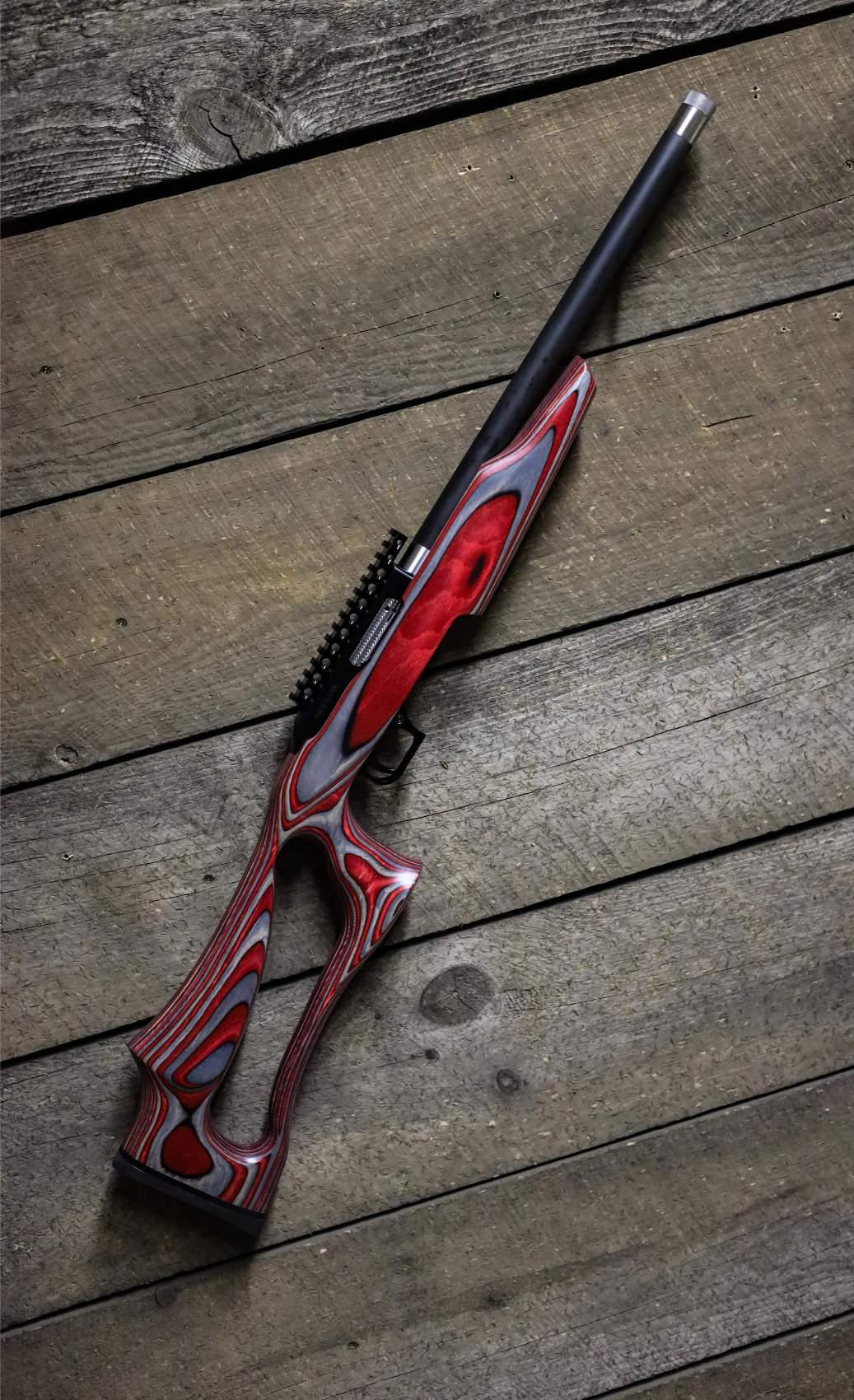 Custom SwitchBolt .22LR - Image 2