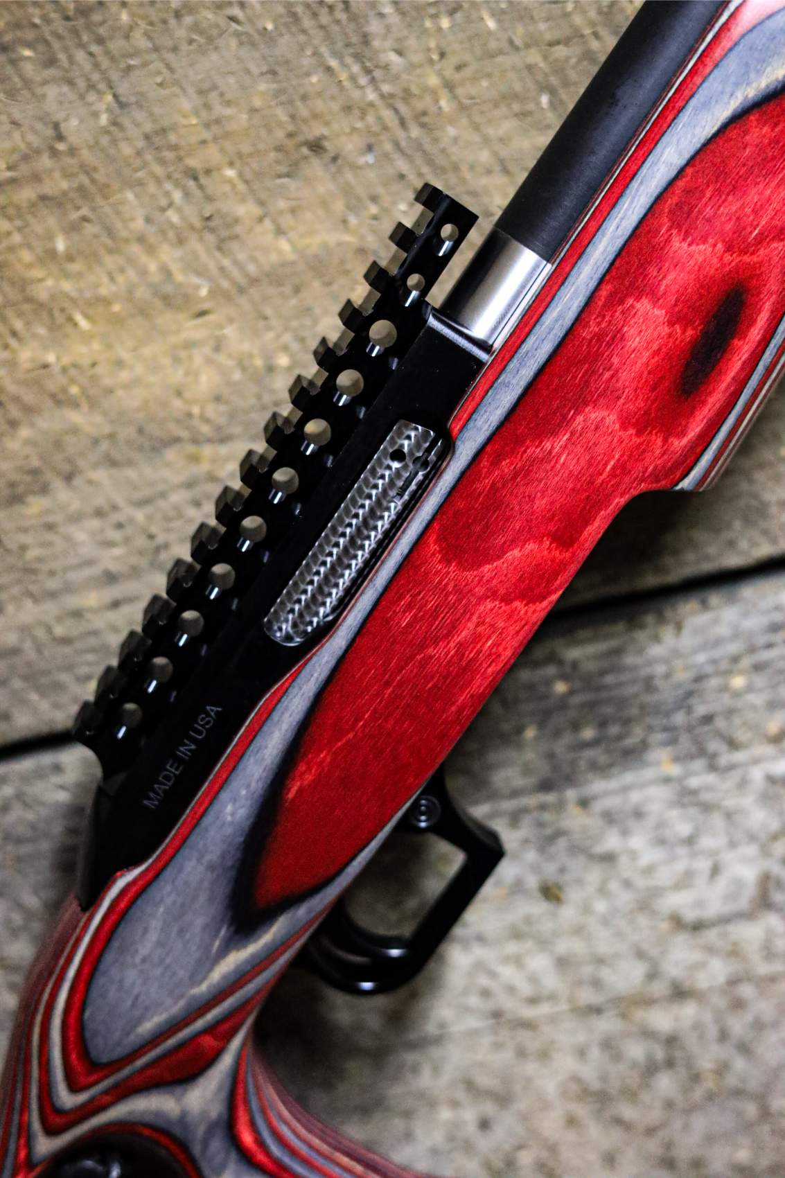 Custom SwitchBolt .22LR - Image 3