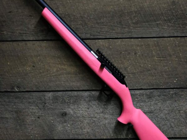 Custom SwitchBolt .22LR